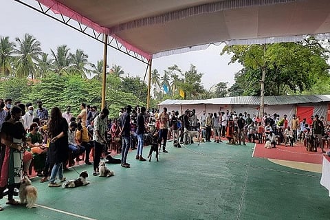 DOG SHOW 1