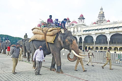 Dasara