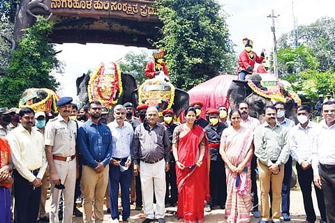 Gajapade