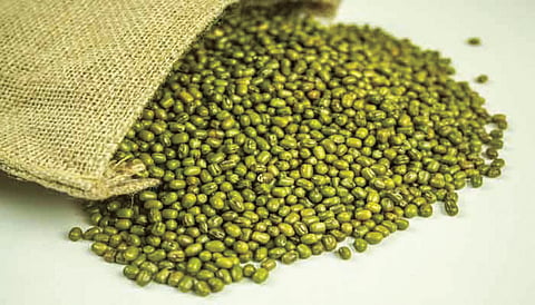 Green gram