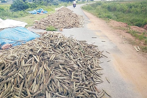 Hanumasagara On Road Heap