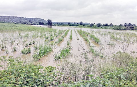 KLB RAIN DAMAGE