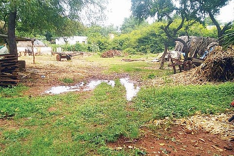 Mirakoranahalli Okkani Kana in water