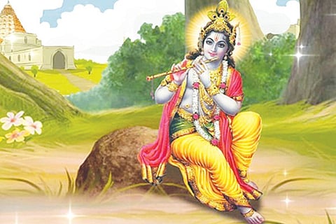 Navollasa