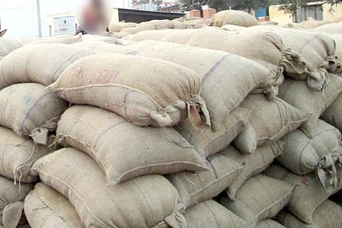 Paddy Bags