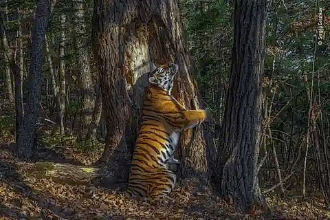 Russia Photo