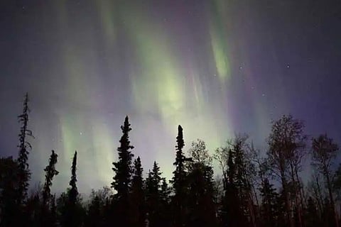Untitled-2
