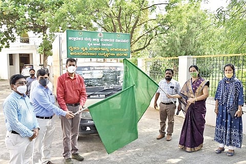 VJP 29-4