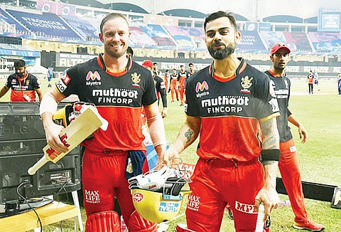 abd rcb web