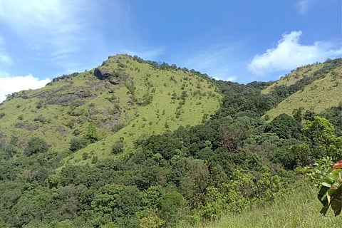 bisilu