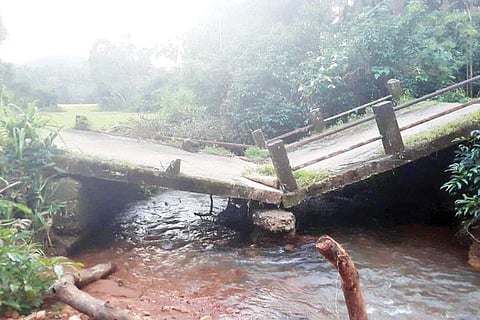bridge