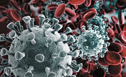 corona virus2