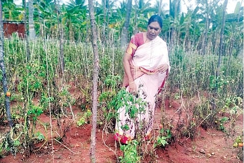devi