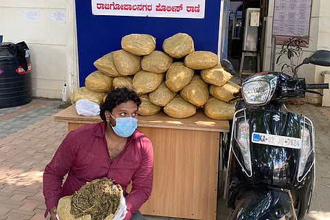 drug case