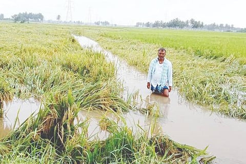 dvg maganalli oct 21