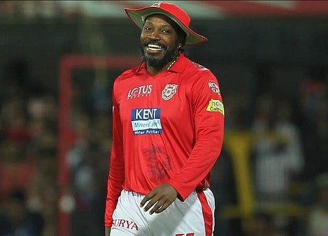 gayle ipl web