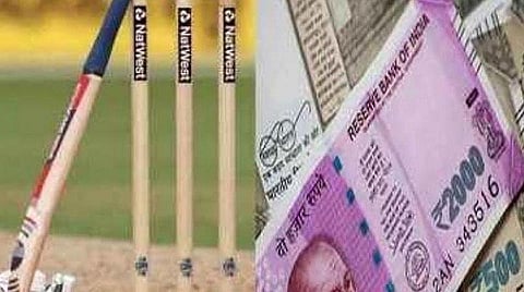 ipl betting web