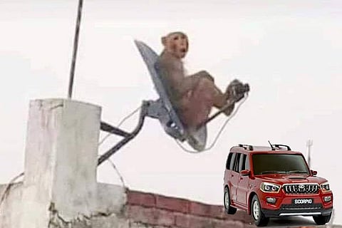 mahindra1