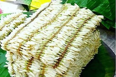 mallige new