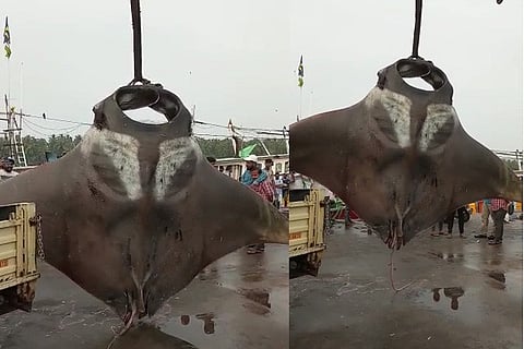 meenu