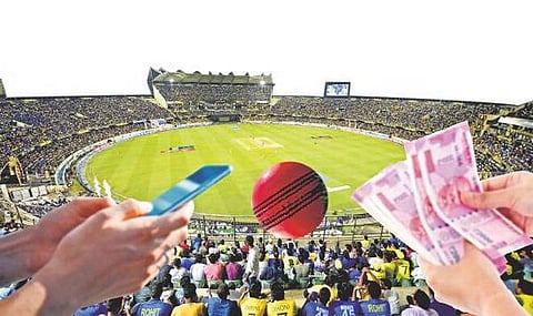p2-cricket-betting