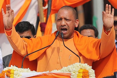 yogi