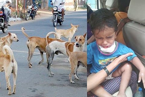08112020 Kottur Street Dog Attack
