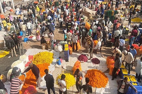 14 BGV Jaggu 1A