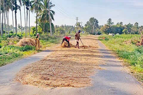 22 harohalli kana-1