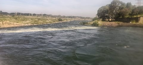 IMG-20201120-WA0007.jpg