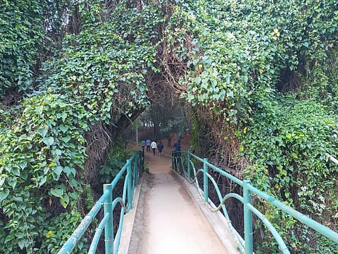 IMG20201115071449