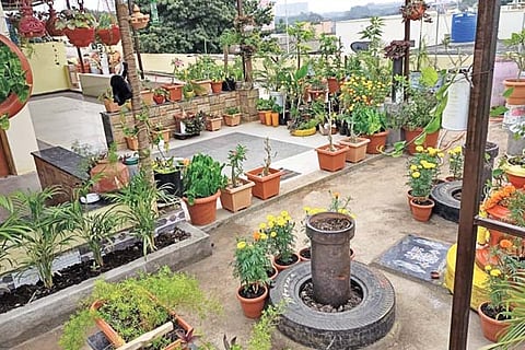 KLB TERRAS GARDEN (1)