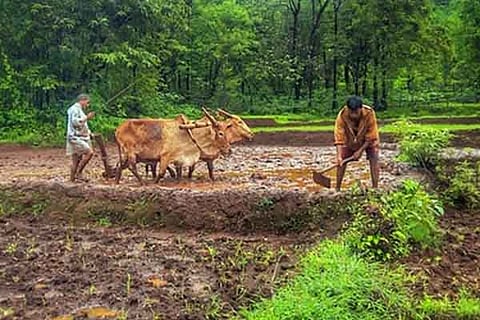 PM-Kisan