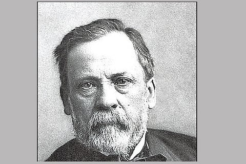 Pascher