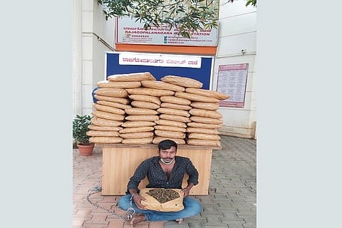 Shivakumar ganja case arrested