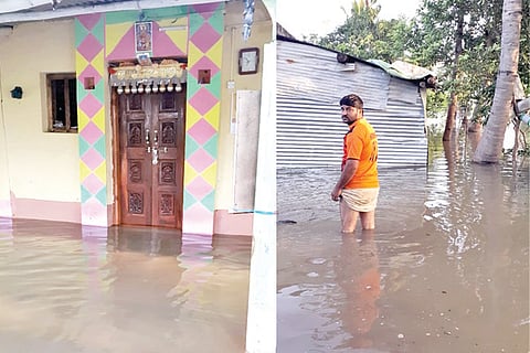 VJP_dhulle