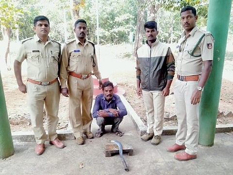 WhatsApp-Image-2020-11-12-at-10.10.17-768x576