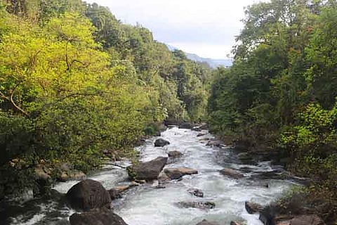 addahole new