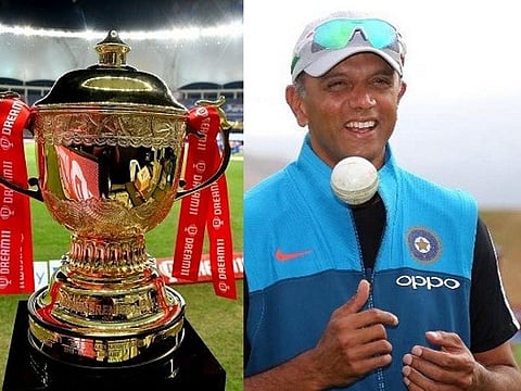 dravid web
