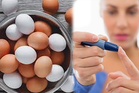 egg2