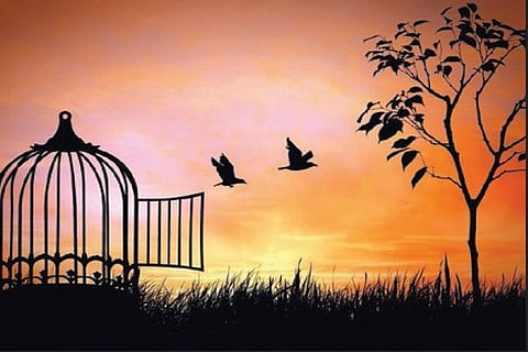 freedom