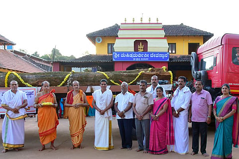 kodimara bmr