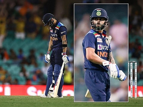kohli web