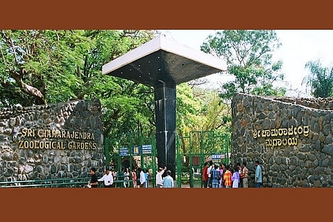 mysore-zoo