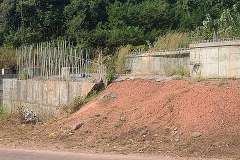 pachanadi new