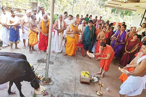 palimaru mata
