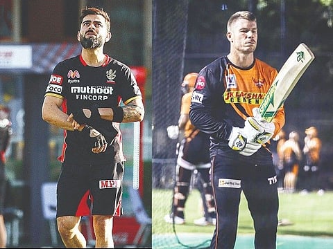 rcb dc web