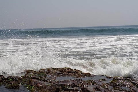 sea new