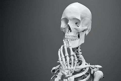 skelton