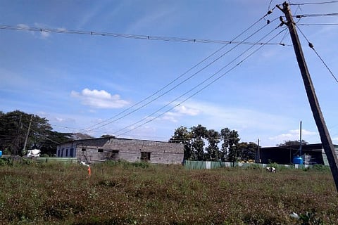 web 6